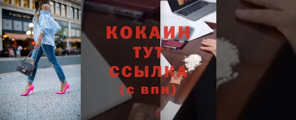 индика Балахна