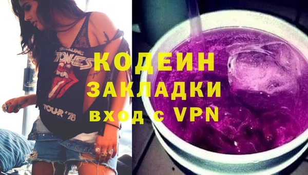 индика Балахна