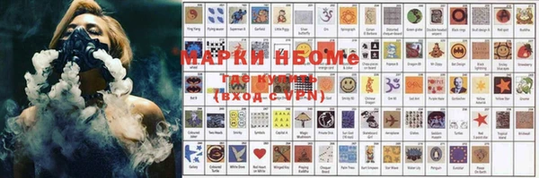 индика Балахна