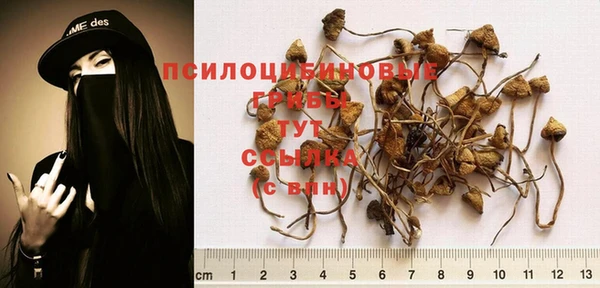 кокаин колумбия Баксан