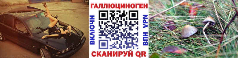 Псилоцибиновые грибы мицелий  как найти наркотики  Белозерск 